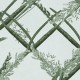 MINDTHEGAP | THE WETLANDS | ORNAMENTAL REED