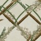 MINDTHEGAP | THE WETLANDS | ORNAMENTAL REED