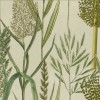 MINDTHEGAP | THE WETLANDS | RIVERSIDE FLORA