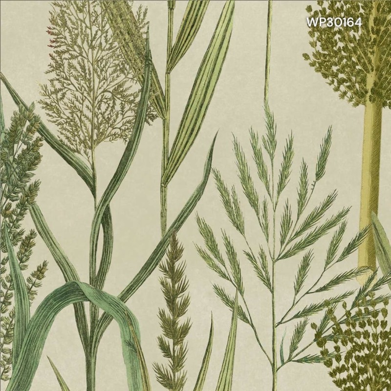 MINDTHEGAP | THE WETLANDS | RIVERSIDE FLORA