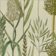 MINDTHEGAP | THE WETLANDS | RIVERSIDE FLORA