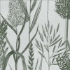 MINDTHEGAP | THE WETLANDS | RIVERSIDE FLORA