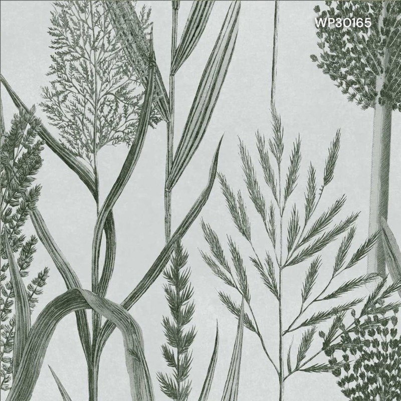 MINDTHEGAP | THE WETLANDS | RIVERSIDE FLORA