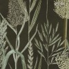 MINDTHEGAP | THE WETLANDS | RIVERSIDE FLORA