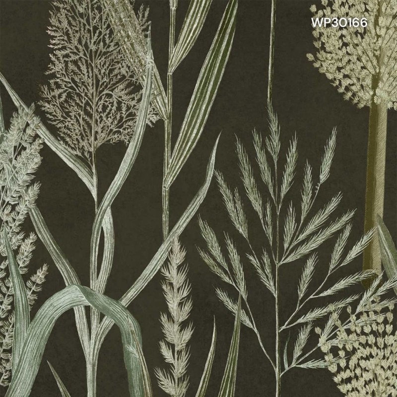 MINDTHEGAP | THE WETLANDS | RIVERSIDE FLORA