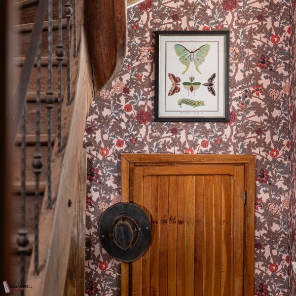 MINDTHEGAP | THE WETLANDS | THE FLOWERING