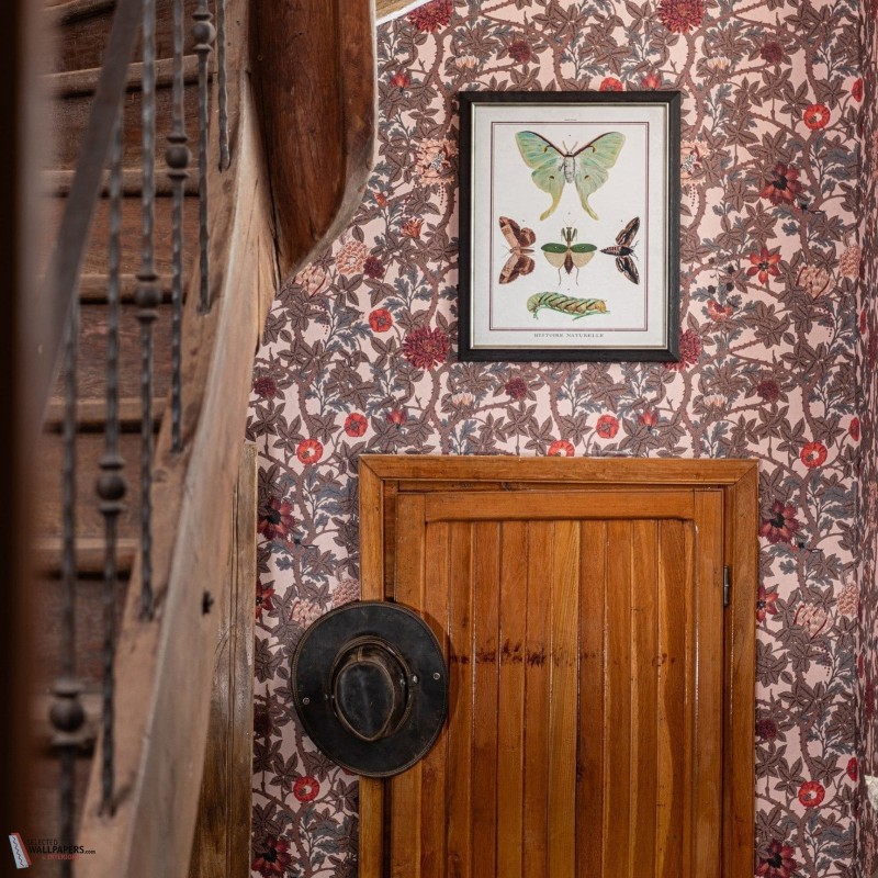 MINDTHEGAP | THE WETLANDS | THE FLOWERING