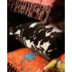 Mindthegap | Transylvanian Rhapsody | Cushion | COWHIDE velvet
