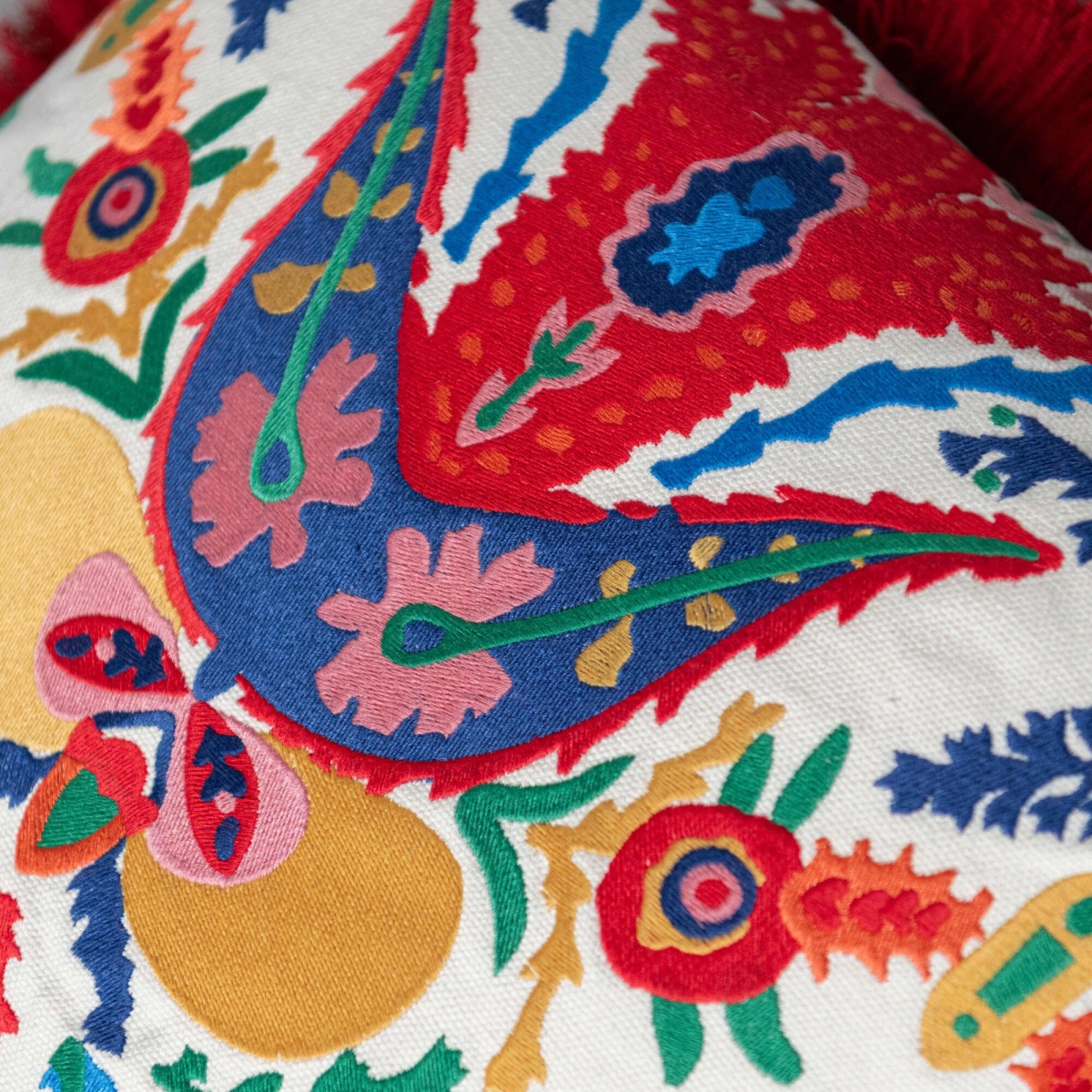 Mindthegap | Transylvanian Rhapsody | Cushion | EUFLORIA 