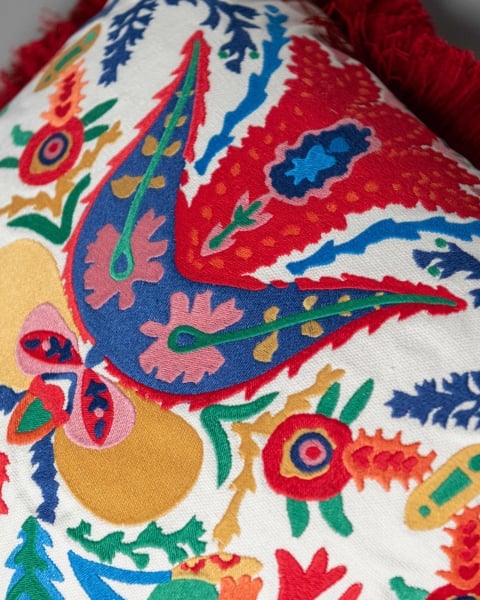 Mindthegap | Transylvanian Rhapsody | Cushion | EUFLORIA 