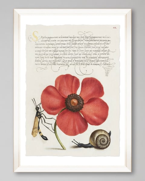 Mindthegap | Transylvanian Rhapsody | Framed Art | FLORA I