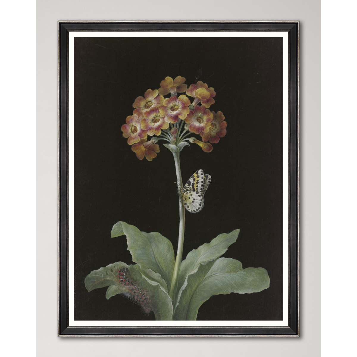 Mindthegap | Transylvanian Rhapsody | Framed Art | FLORAL ARRANGEMENTS I