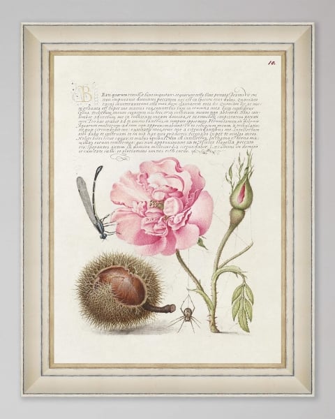 Mindthegap | Transylvanian Rhapsody | Framed Art | LETTERING I