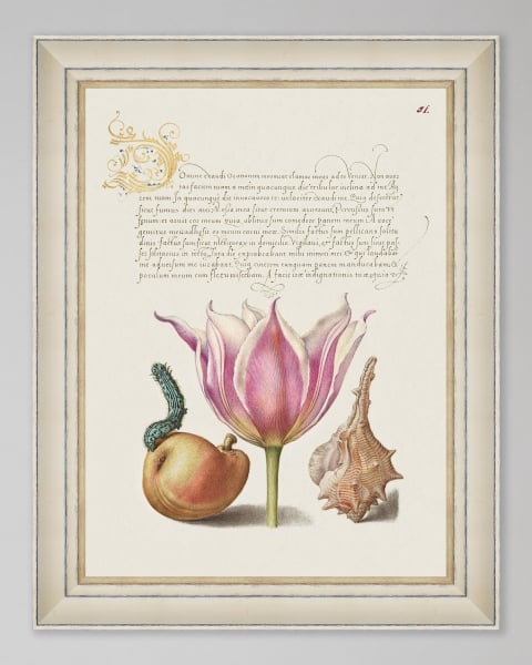 Mindthegap | Transylvanian Rhapsody | Framed Art | LETTERING II