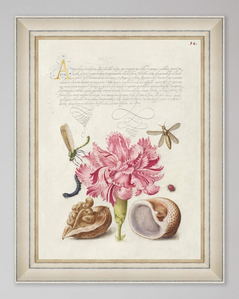 Mindthegap | Transylvanian Rhapsody | Framed Art | LETTERING III