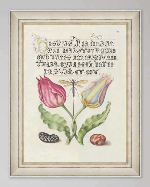 Mindthegap | Transylvanian Rhapsody | Framed Art | LETTERING IX