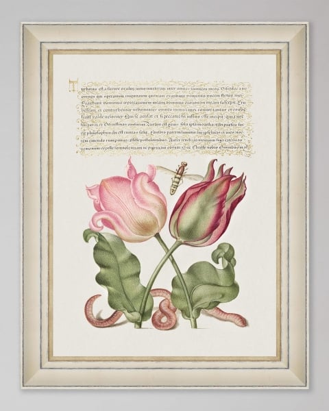 Mindthegap | Transylvanian Rhapsody | Framed Art | LETTERING VII