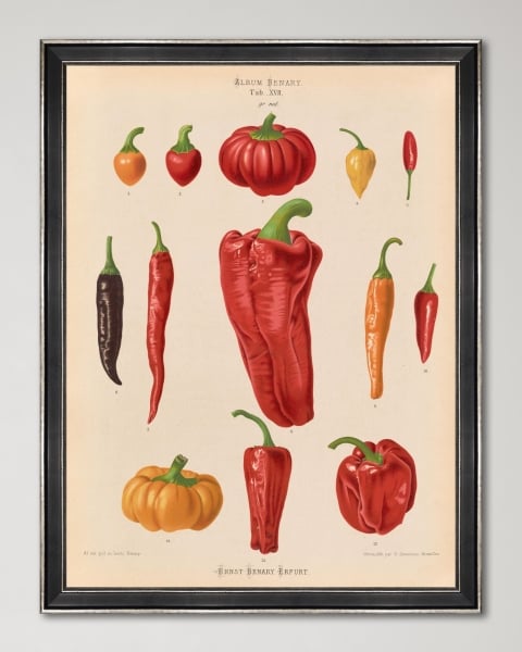 Mindthegap | Transylvanian Rhapsody | Framed Art | PLATE I