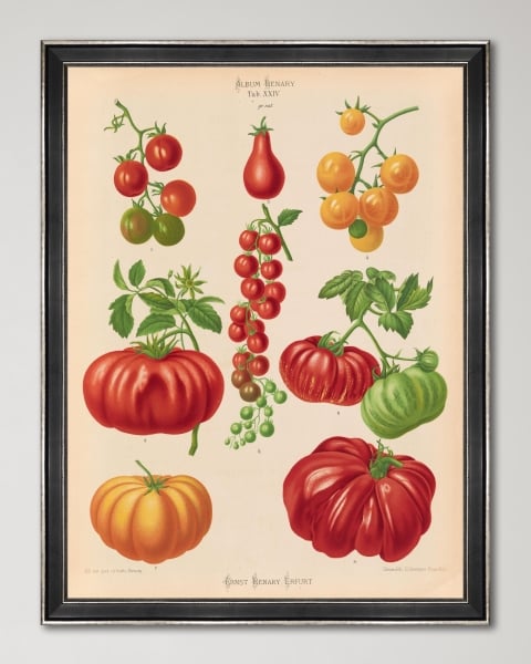 Mindthegap | Transylvanian Rhapsody | Framed Art | PLATE II