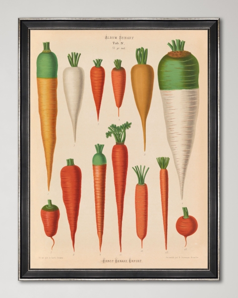 Mindthegap | Transylvanian Rhapsody | Framed Art | PLATE III