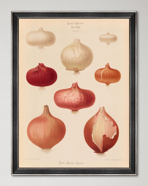 Mindthegap | Transylvanian Rhapsody | Framed Art | PLATE IV