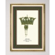 Mindthegap | Transylvanian Rhapsody | Framed Art | THE CROWN I
