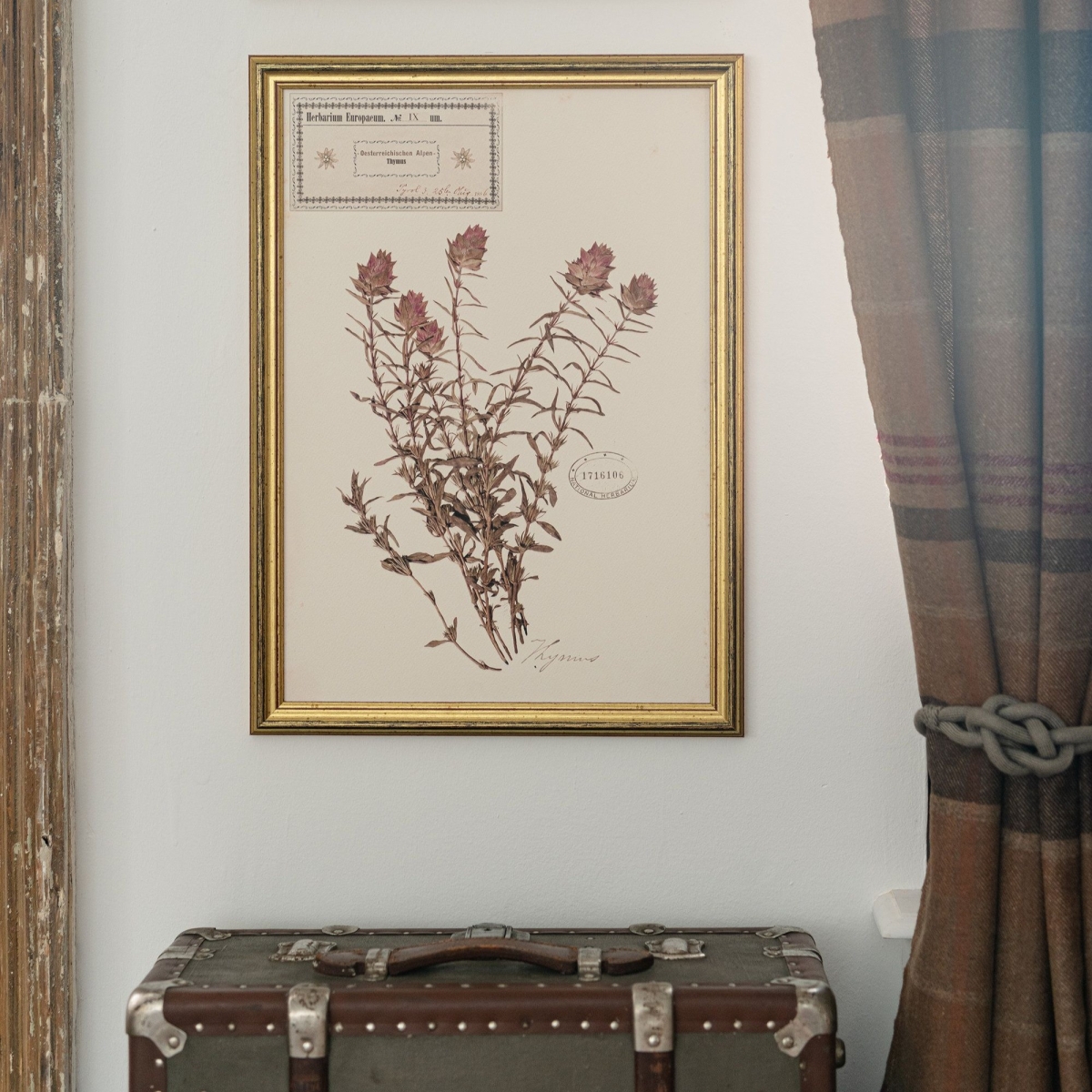 MINDTHEGAP | TYROL APRES-SKI HOME COLLECTION | Framed Art | HERBARIUM ALPINIUM IX