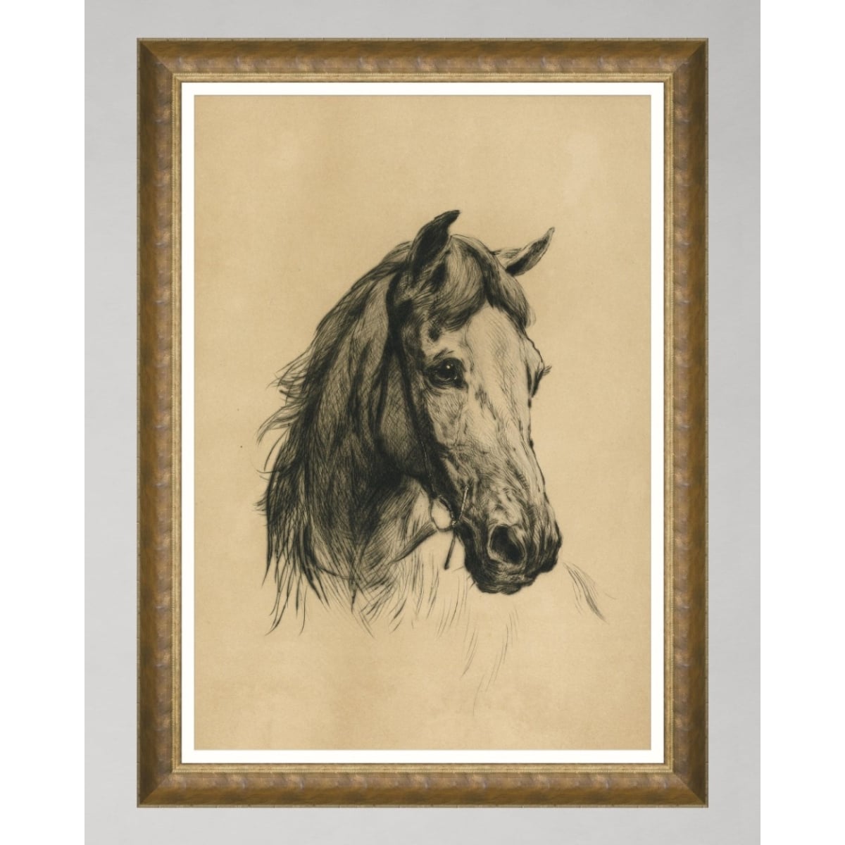 MINDTHEGAP | WOODSTOCK '69 | Framed Art | Head of a Horse by Heywood Hardy