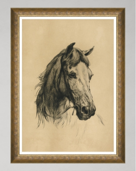 MINDTHEGAP | WOODSTOCK '69 | Framed Art | Head of a Horse by Heywood Hardy