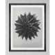 MINDTHEGAP | WOODSTOCK '69 | Framed Art | Lime Mallow by Karl Blossfeldt