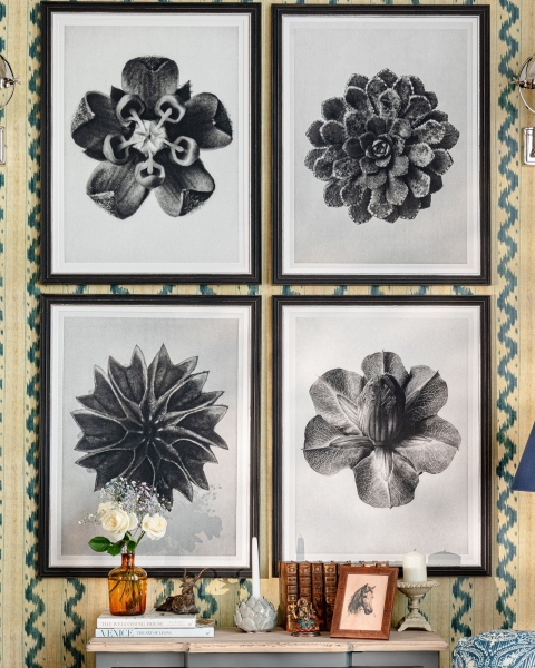 MINDTHEGAP | WOODSTOCK '69 | Framed Art | Saxifraga Aizoon by Karl Blossfeldt