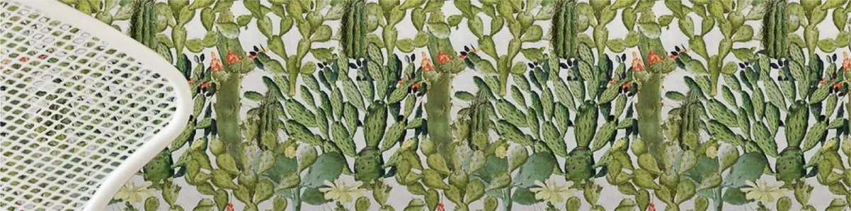Banner Opuntia