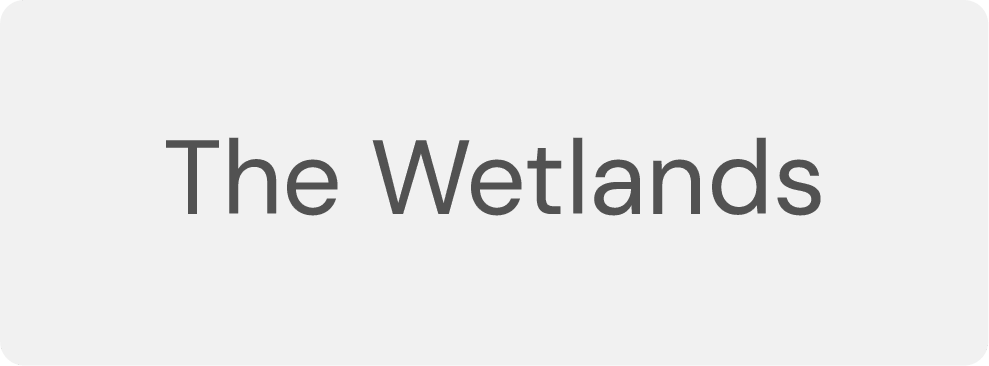 The Wetlands