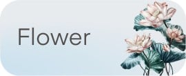 Featured Link