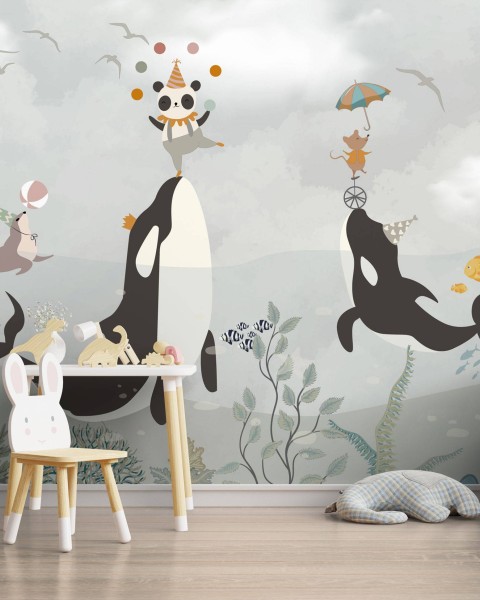 TM | Orcas with Circus | MUR7029