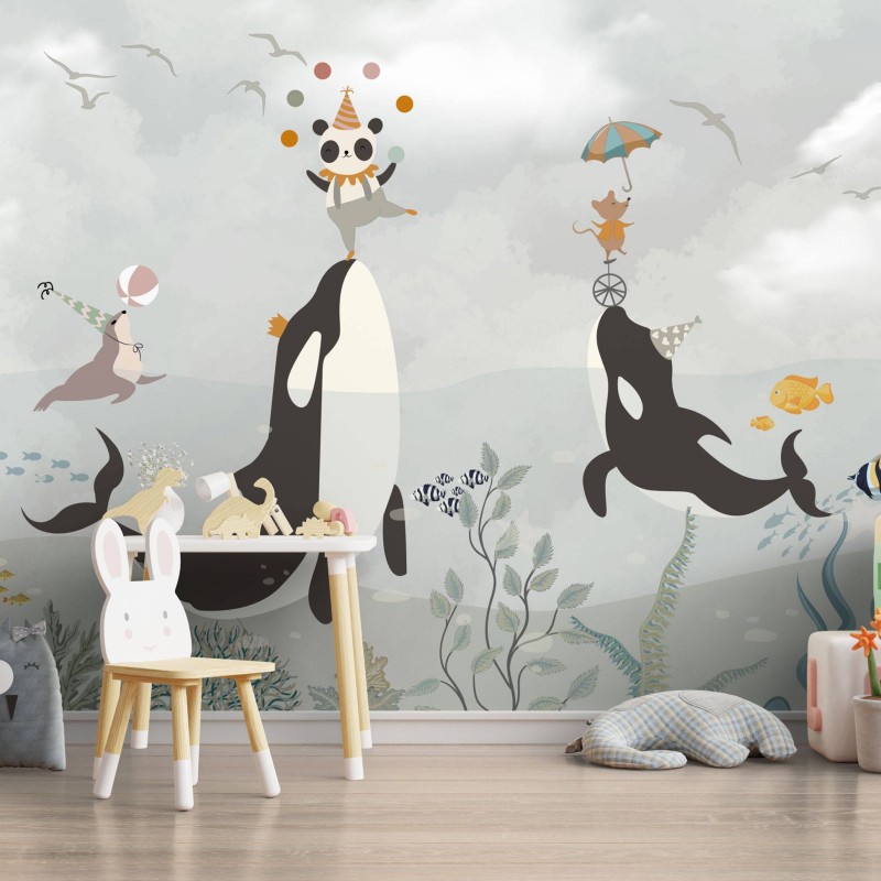 TM | Orcas with Circus | MUR7029
