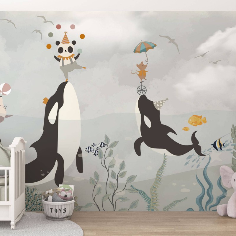 TM | Orcas with Circus | MUR7029