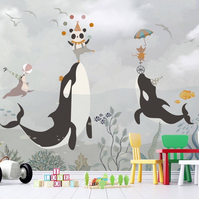 TM | Orcas with Circus | MUR7029