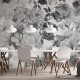 TM | Monochrome Roses | MUR7345
