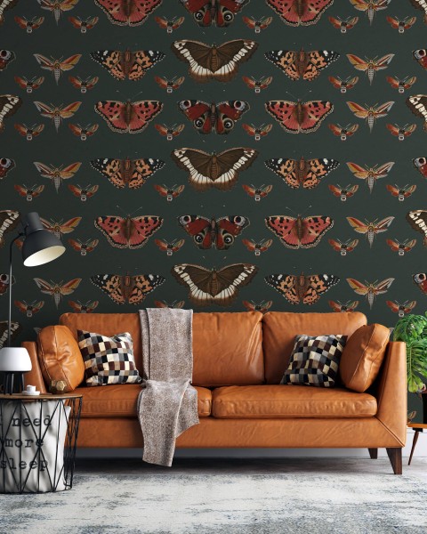 TM | Classic Butterflies | MUR8007