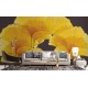 TM | Host Yellow Flowers | MUR8094