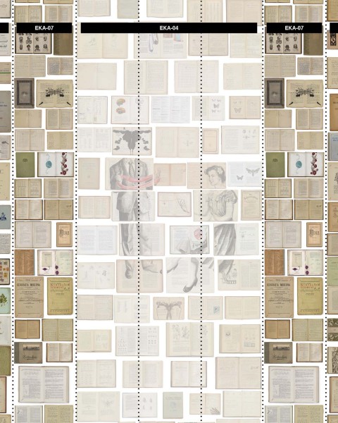 NLXL / EKA-07 Books White