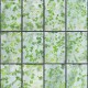 NLXL / ERG-01 Greenhouse