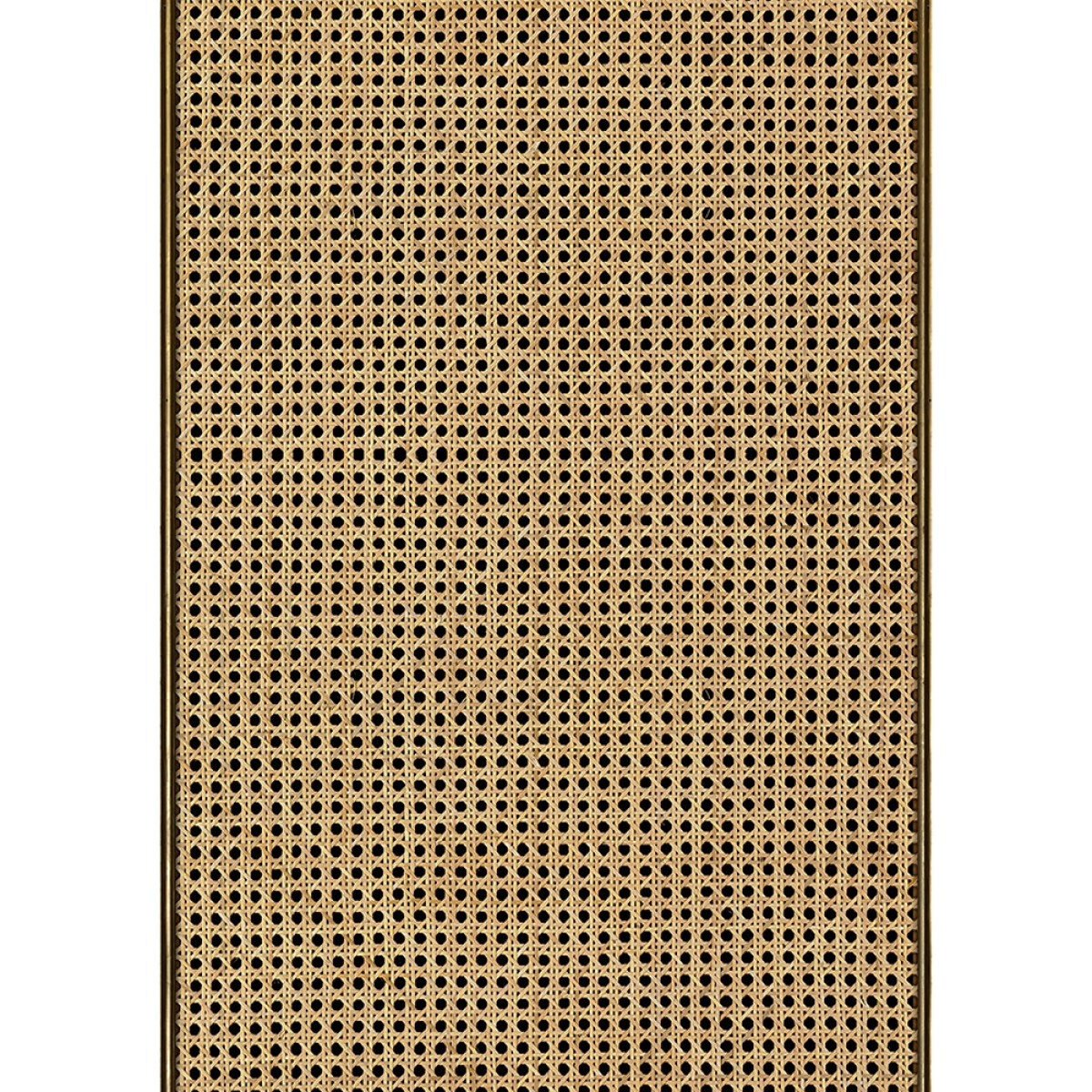 NLXL / MRV-20 WEBBING
