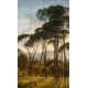 NLXL | European Wallpaper | RKS-01 Umbrella Pines