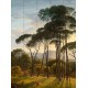 NLXL | European Wallpaper | RKS-01 Umbrella Pines