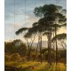 NLXL | European Wallpaper | RKS-01 Umbrella Pines