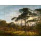 NLXL | European Wallpaper | RKS-01 Umbrella Pines