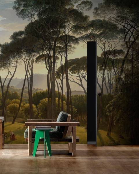 NLXL | European Wallpaper | RKS-01 Umbrella Pines