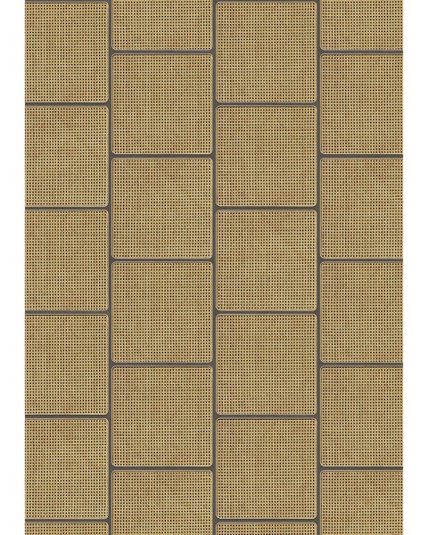 NLXL / VOS-17 SQUARE WEBBING